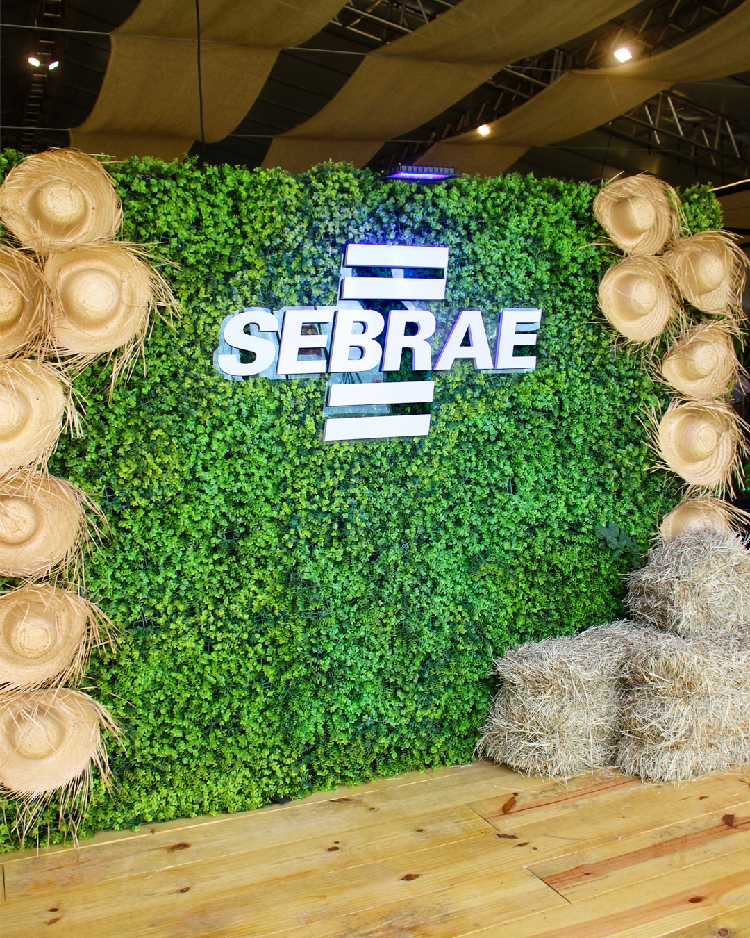 SEBRAE no SEALBA 2026